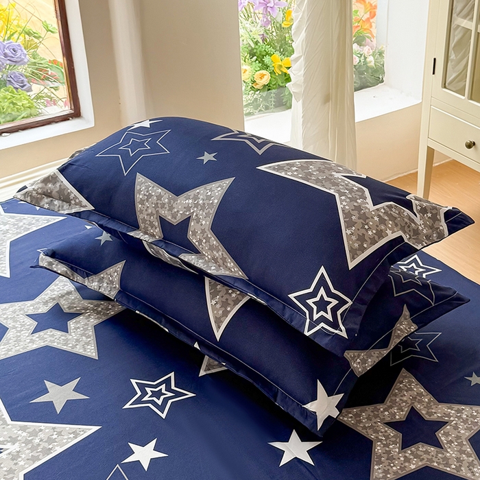 91家纺网 家纺一手货源 找家纺 梵巢家纺 2025新款芦荟棉四件套和单品印花四件套 床笠款四件套 福星高照