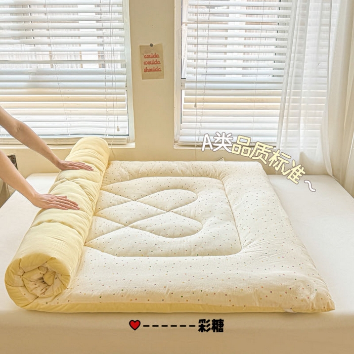 （总）澜妃 2025新款云感皱皱纱双层纱软床垫单床褥床褥单品床护垫
