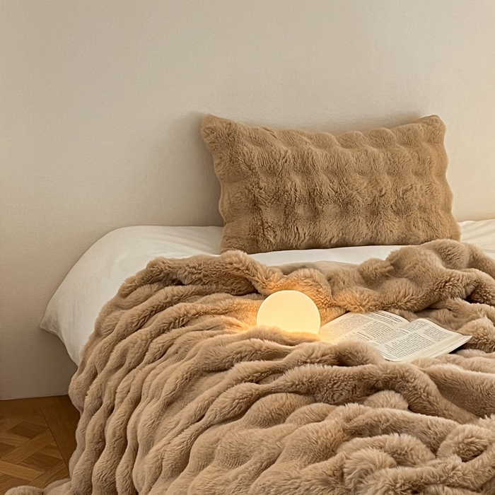 小叮当家纺仓储工厂店 2025新款高克重大牛奶绒被套毯毛毯盖毯毯子 浅咖