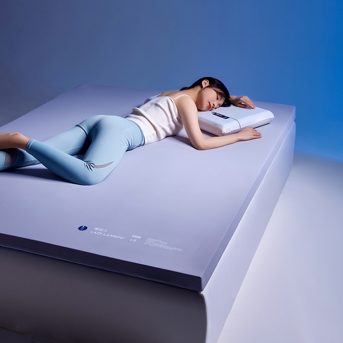 91家纺网 家纺一手货源 找家纺 （总）丽笙被芯 2025新款懒宝儿裸感记忆棉床褥垫床垫