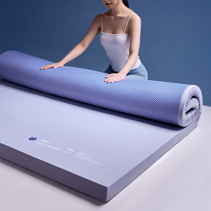 91家纺网 家纺一手货源 找家纺 （总）丽笙被芯 2025新款懒宝儿裸感记忆棉床褥垫床垫