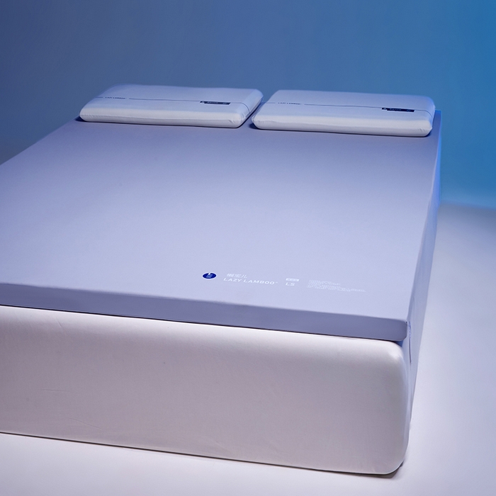 91家纺网 家纺一手货源 找家纺 （总）丽笙被芯 2025新款懒宝儿裸感记忆棉床褥垫床垫