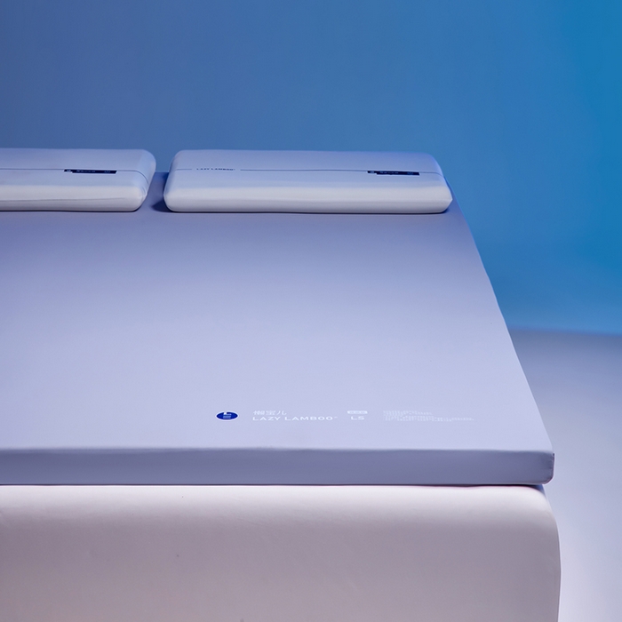 91家纺网 家纺一手货源 找家纺 丽笙被芯 2025新款懒宝儿裸感记忆棉床褥垫床垫 懒宝儿记忆床垫（风格1）