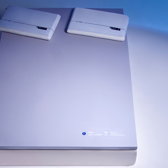 91家纺网 家纺一手货源 找家纺 丽笙被芯 2025新款懒宝儿裸感记忆棉床褥垫床垫 懒宝儿记忆床垫（风格1）