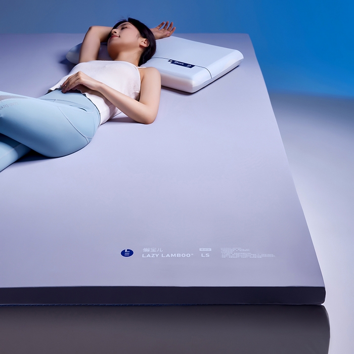 91家纺网 家纺一手货源 找家纺 丽笙被芯 2025新款懒宝儿裸感记忆棉床褥垫床垫 懒宝儿记忆床垫（风格1）