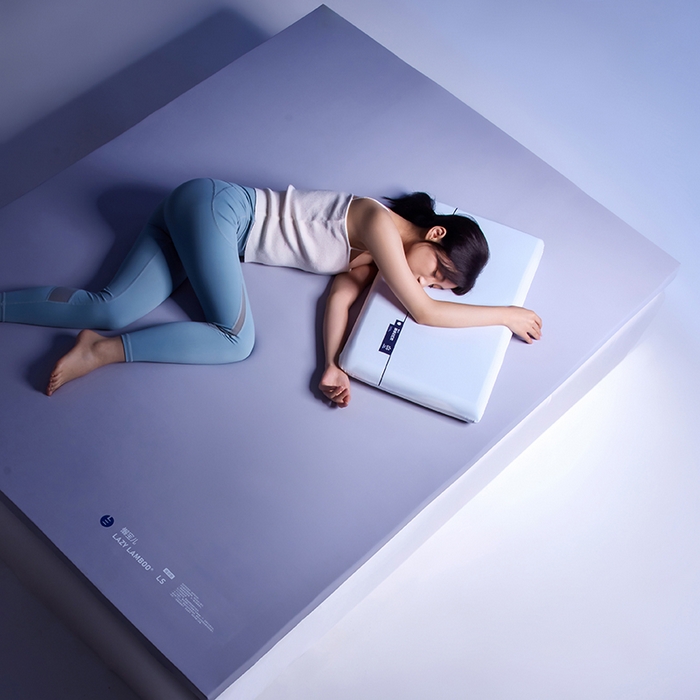 91家纺网 家纺一手货源 找家纺 丽笙被芯 2025新款懒宝儿裸感记忆棉床褥垫床垫 懒宝儿记忆床垫（风格1）