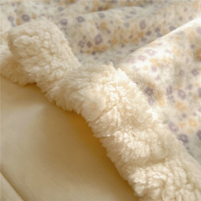 91家纺网 家纺一手货源 找家纺 葡萄家 2025新款A类ins小清新少女可爱奶油猫咪卡通加厚牛奶绒羊羔绒多功能毛毯毯子 绒毛毯-MT可爱女孩