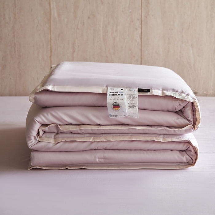 丽笙被芯 2025新款云绵磨毛懒人被 被子被芯 淡月紫