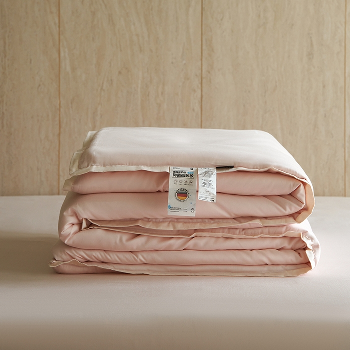 丽笙被芯 2025新款云绵磨毛懒人被 被子被芯 随风玉