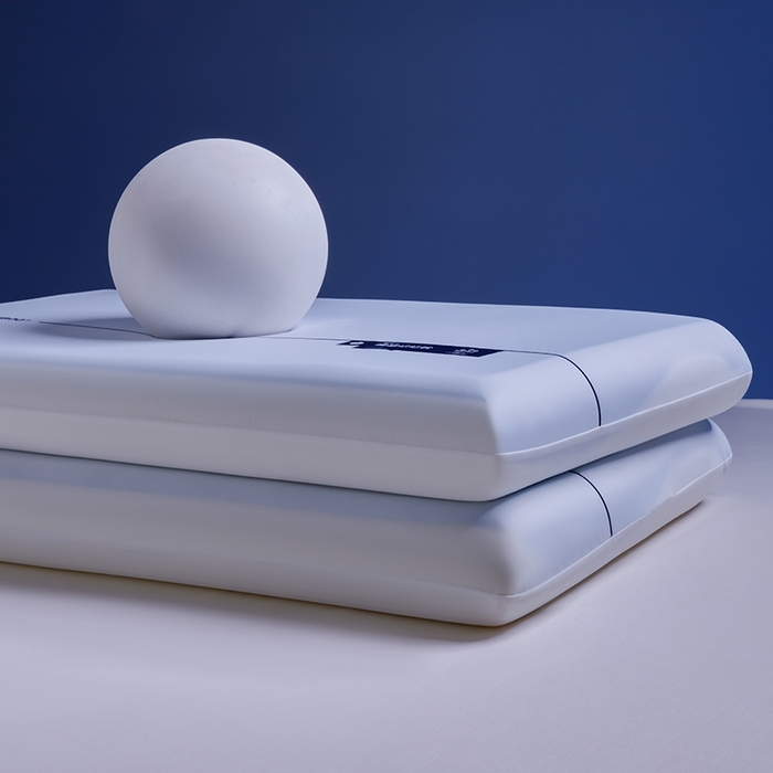 91家纺网 家纺一手货源 找家纺 丽笙被芯 2025新款懒宝儿裸感记忆枕 枕头枕芯 懒宝儿裸感记忆枕-风格一 42x70x8cm/只