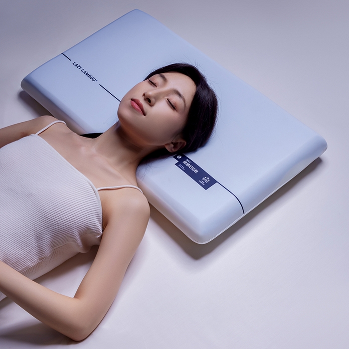 91家纺网 家纺一手货源 找家纺 丽笙被芯 2025新款懒宝儿裸感记忆枕 枕头枕芯 懒宝儿裸感记忆枕-风格一 42x70x8cm/只