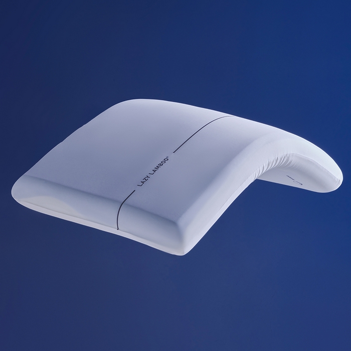 91家纺网 家纺一手货源 找家纺 丽笙被芯 2025新款懒宝儿裸感记忆枕 枕头枕芯 懒宝儿裸感记忆枕-风格一 42x70x8cm/只