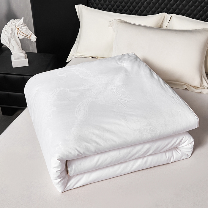 蚕云阁蚕丝家居 2025新款舒适保暖被子被芯-英伦之曲 英伦之曲-白色精梳柞蚕丝