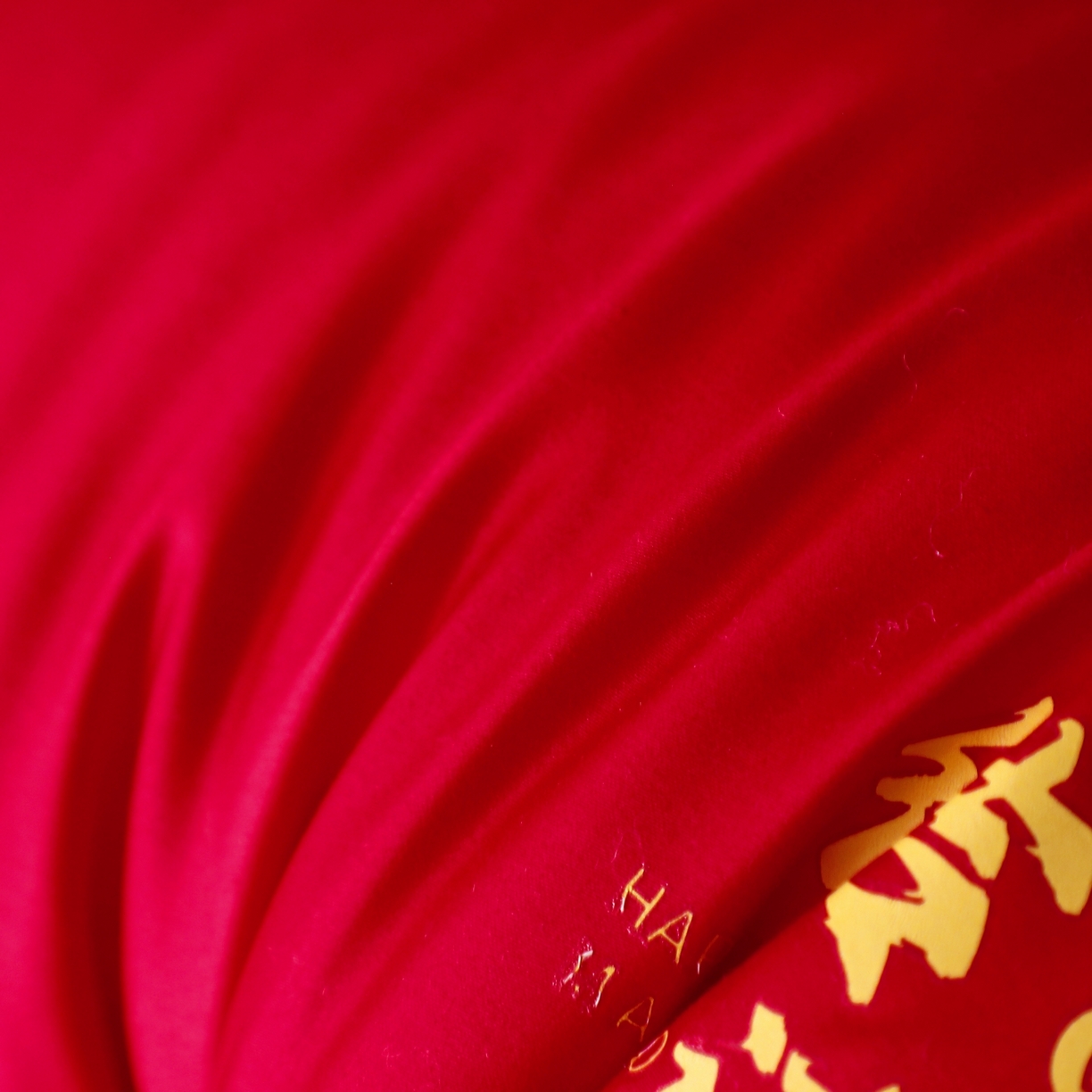 91家纺网 家纺一手货源 找家纺 （总）糖果枕芯 2025新款全棉烫画婚庆枕芯系列-喜结连理