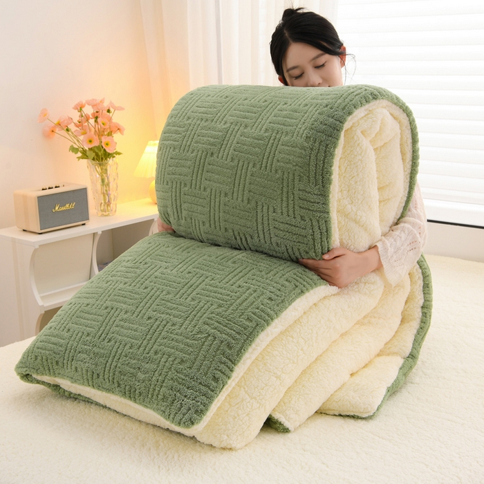 91家纺网 家纺一手货源 找家纺 （总）圣靓 2025新款塔芙绒羊羔绒双面冬被被子被芯