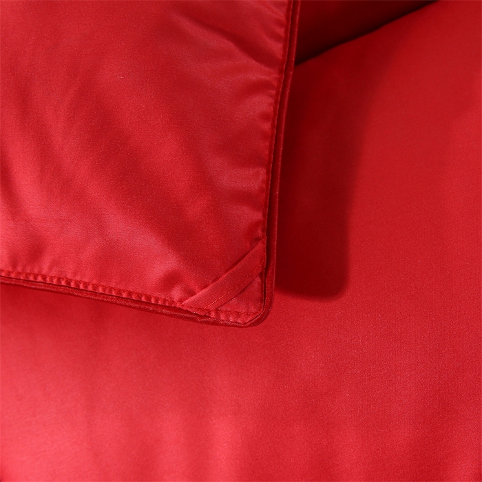 91家纺网 家纺一手货源 找家纺 （总）好老表被业 2025新款纯色羽丝绒冬被芯加厚保暖双拼羽丝棉被子春秋被单双人直播被子被芯