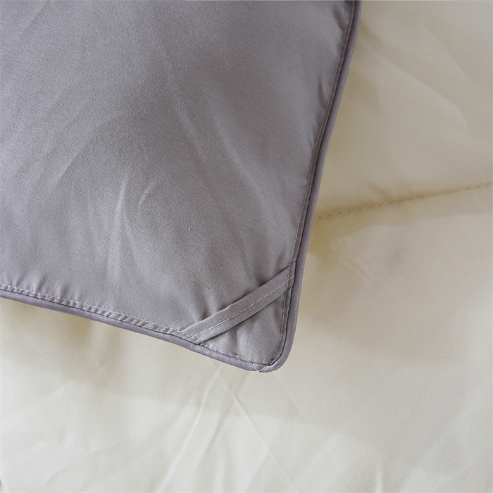 91家纺网 家纺一手货源 找家纺 好老表被业 2025新款纯色羽丝绒冬被芯加厚保暖双拼羽丝棉被子春秋被单双人直播被子被芯 灰米色