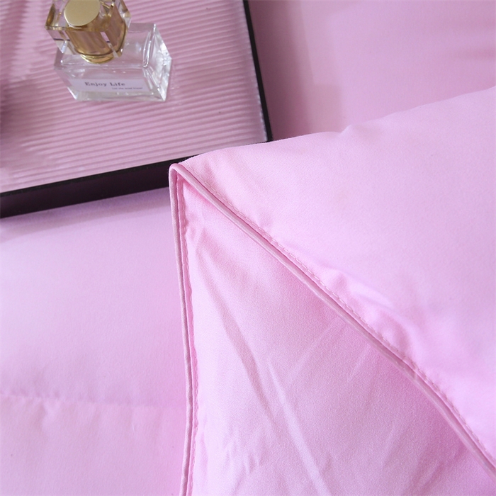 91家纺网 家纺一手货源 找家纺 好老表被业 2025新款纯色羽丝绒冬被芯加厚保暖双拼羽丝棉被子春秋被单双人直播被子被芯 粉色