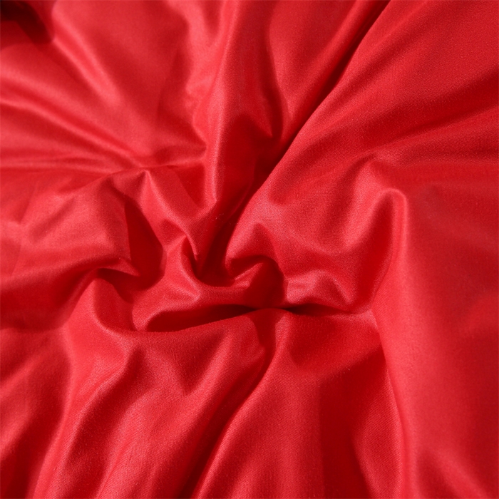 91家纺网 家纺一手货源 找家纺 好老表被业 2025新款纯色羽丝绒冬被芯加厚保暖双拼羽丝棉被子春秋被单双人直播被子被芯 红色