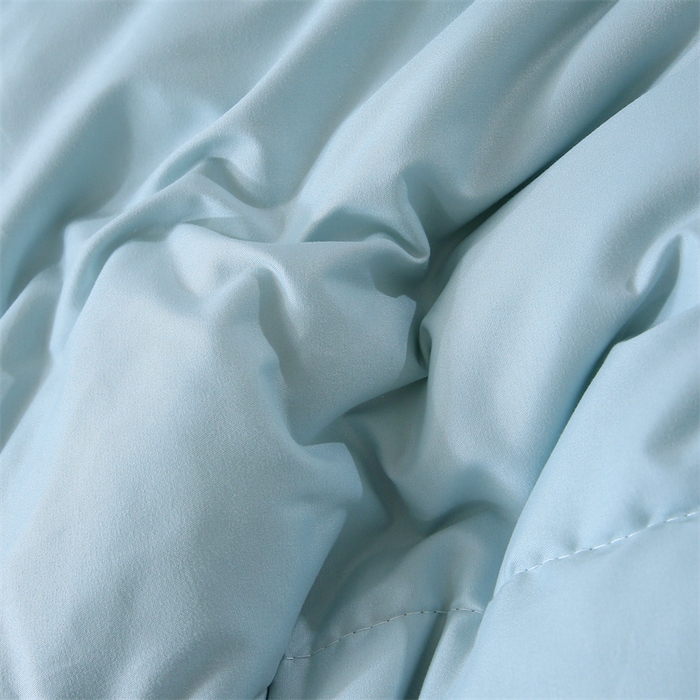 91家纺网 家纺一手货源 找家纺 好老表被业 2025新款纯色羽丝绒冬被芯加厚保暖双拼羽丝棉被子春秋被单双人直播被子被芯 浅绿灰