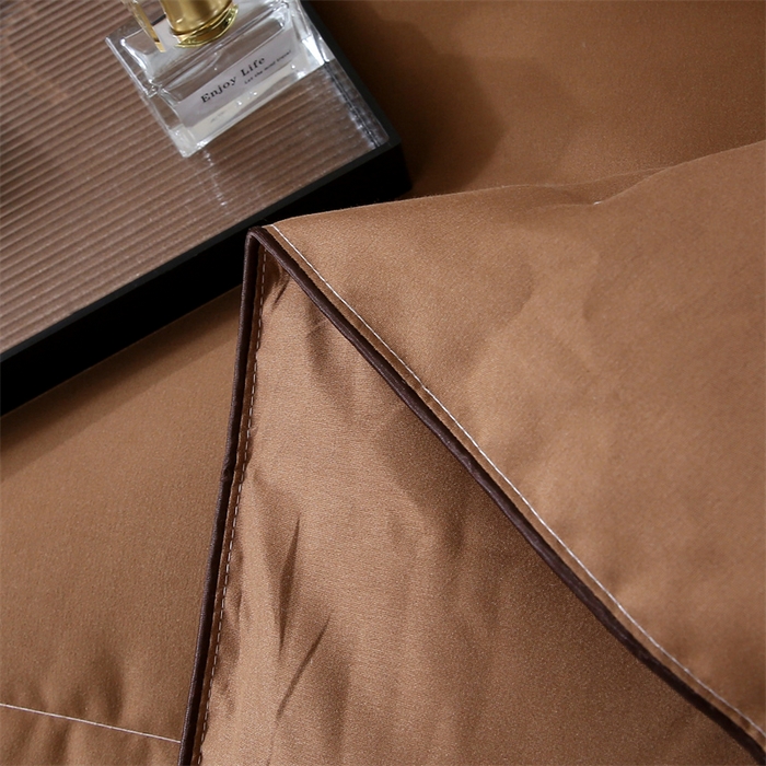 91家纺网 家纺一手货源 找家纺 好老表被业 2025新款纯色羽丝绒冬被芯加厚保暖双拼羽丝棉被子春秋被单双人直播被子被芯 咖色