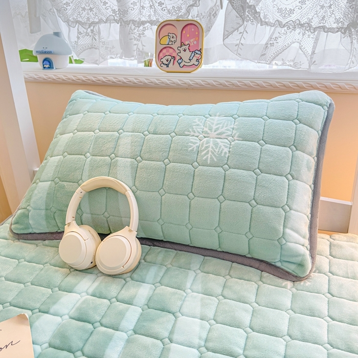 91家纺网 家纺一手货源 找家纺 小叮当家纺仓储工厂店 2025新款牛奶绒夹棉印花床垫学生图 绒床垫-圣诞小鹿绿色