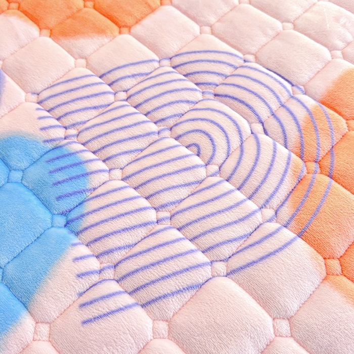 91家纺网 家纺一手货源 找家纺 小叮当家纺仓储工厂店 2025新款牛奶绒夹棉印花床垫学生图 绒床垫-炫彩人生