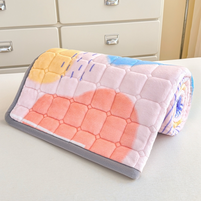 91家纺网 家纺一手货源 找家纺 小叮当家纺仓储工厂店 2025新款牛奶绒夹棉印花床垫学生图 绒床垫-炫彩人生