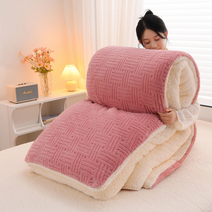 91家纺网 家纺一手货源 找家纺 （总）圣楚家纺 2025新款塔芙绒羊羔绒冬被被子被芯