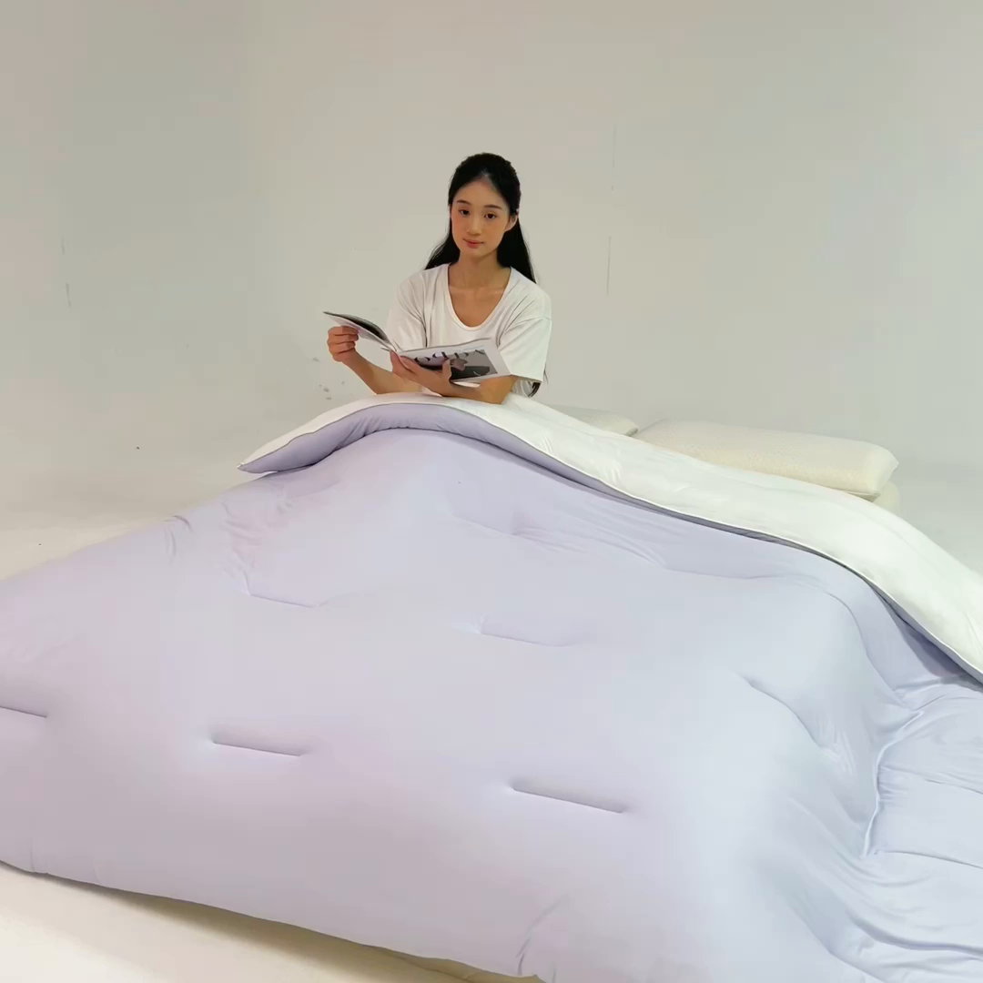 91家纺网 家纺一手货源 找家纺 亿莱鑫 2025新款A类亲肤深睡眠控温抑菌被子被芯冬被 薰衣紫