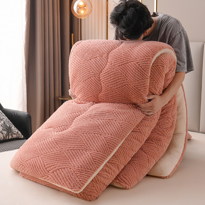 91家纺网 家纺一手货源 找家纺 小叮当家纺仓储工厂店 2025新款亲肤舒适提花双面绒冬被被子被芯-双面绒 双面绒豆沙