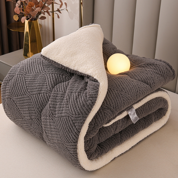 91家纺网 家纺一手货源 找家纺 （总）小叮当家纺仓储工厂店 2025新款亲肤舒适提花双面绒冬被被子被芯-双面绒