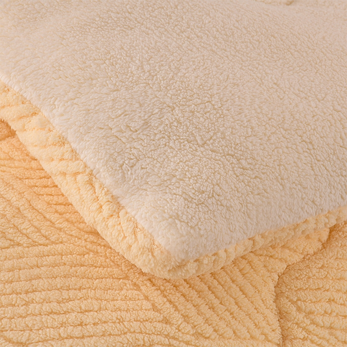 91家纺网 家纺一手货源 找家纺 （总）小叮当家纺仓储工厂店 2025新款亲肤舒适提花双面绒冬被被子被芯-双面绒