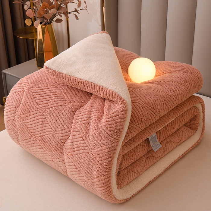 91家纺网 家纺一手货源 找家纺 （总）小叮当家纺仓储工厂店 2025新款亲肤舒适提花双面绒冬被被子被芯-双面绒