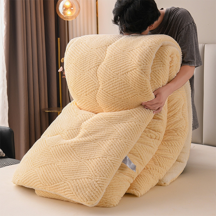 91家纺网 家纺一手货源 找家纺 （总）小叮当家纺仓储工厂店 2025新款亲肤舒适提花双面绒冬被被子被芯-双面绒