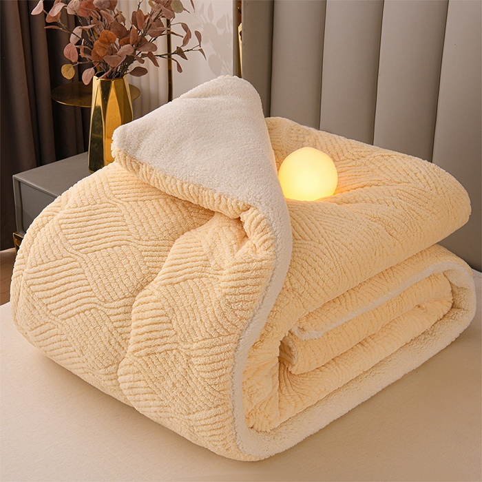 91家纺网 家纺一手货源 找家纺 （总）小叮当家纺仓储工厂店 2025新款亲肤舒适提花双面绒冬被被子被芯-双面绒