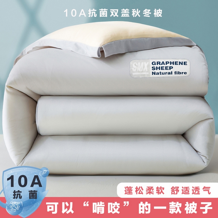 91家纺网 家纺一手货源 找家纺 （总）宝士康家纺 2025新品亚朵同款双盖春秋被/被芯/跨境/外贸-墨烯引力