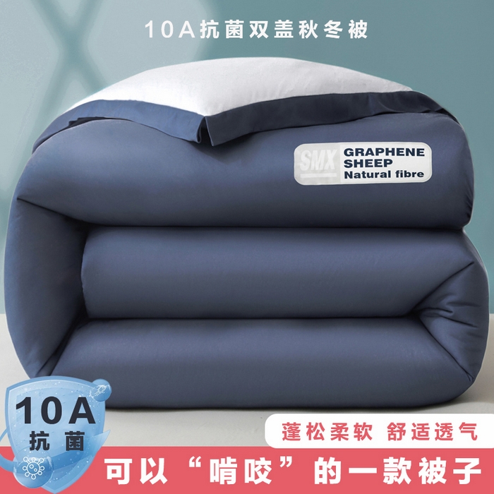 （总）宝士康家纺 2025新品亚朵同款双盖春秋被/被芯/跨境/外贸-墨烯引力