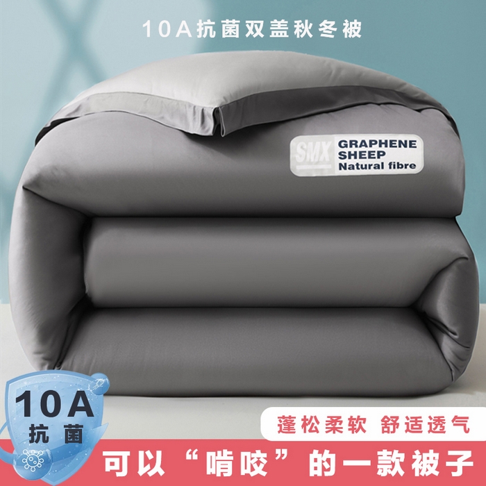 宝士康家纺 2025新品亚朵同款双盖春秋被/被芯/跨境/外贸-墨烯引力 墨烯引力-灰色