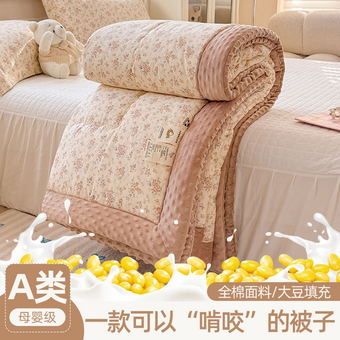 91家纺网 家纺一手货源 找家纺 （总）梦依依 2025新款全棉豆豆绒大豆被冬被春秋被儿童豆豆被（风格一）