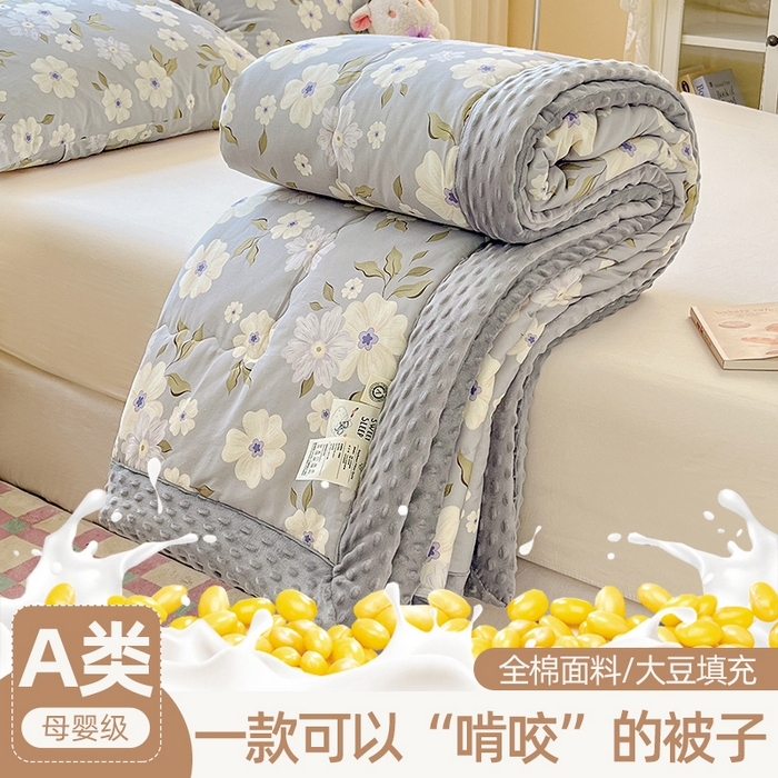 91家纺网 家纺一手货源 找家纺 （总）梦依依 2025新款全棉豆豆绒大豆被冬被春秋被儿童豆豆被（风格一）