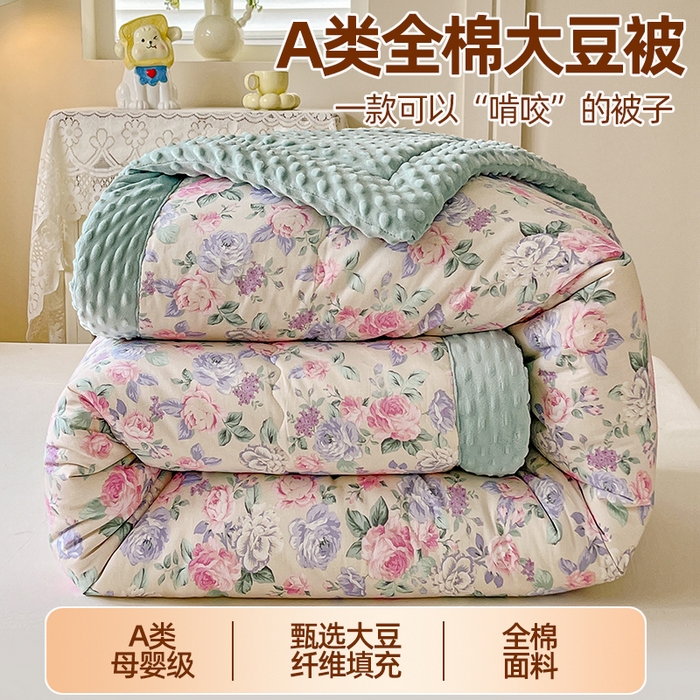 91家纺网 家纺一手货源 找家纺 （总）梦依依 （加微信送买家秀）2025新款40支全棉豆豆被大豆被夏被冬秋被子被芯-风格二