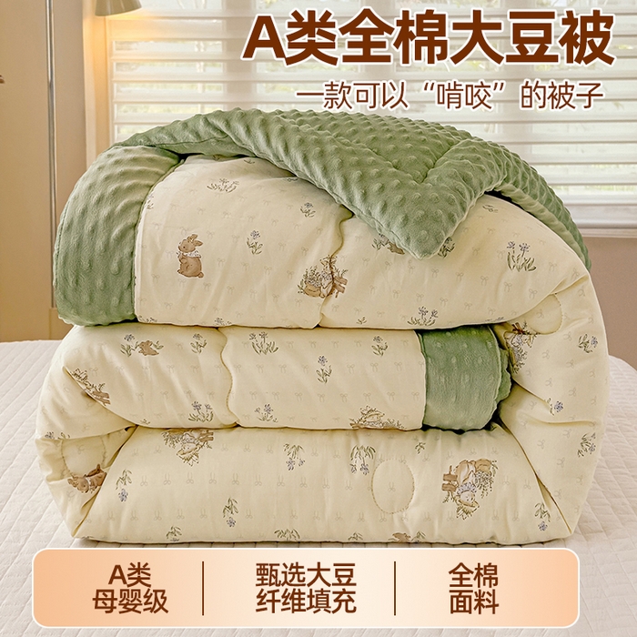 91家纺网 家纺一手货源 找家纺 （总）梦依依 （加微信送买家秀）2025新款40支全棉豆豆被大豆被夏被冬秋被子被芯-风格二
