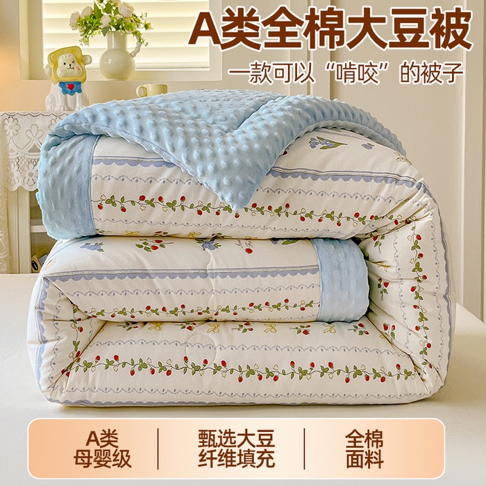 91家纺网 家纺一手货源 找家纺 （总）梦依依 （加微信送买家秀）2025新款40支全棉豆豆被大豆被夏被冬秋被子被芯-风格二