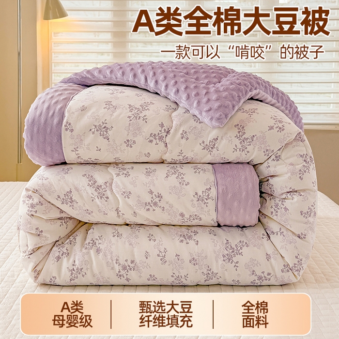 91家纺网 家纺一手货源 找家纺 （总）梦依依 （加微信送买家秀）2025新款40支全棉豆豆被大豆被夏被冬秋被子被芯-风格二