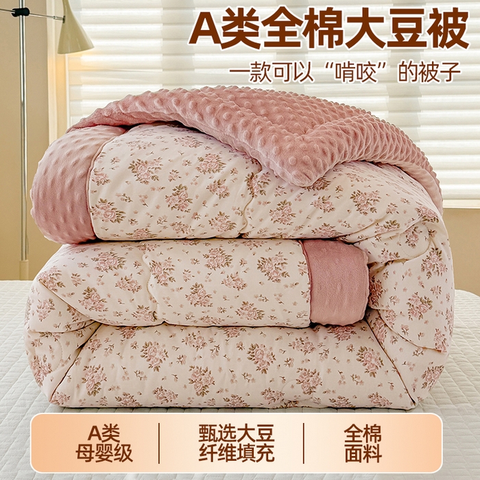 91家纺网 家纺一手货源 找家纺 （总）梦依依 （加微信送买家秀）2025新款40支全棉豆豆被大豆被夏被冬秋被子被芯-风格二