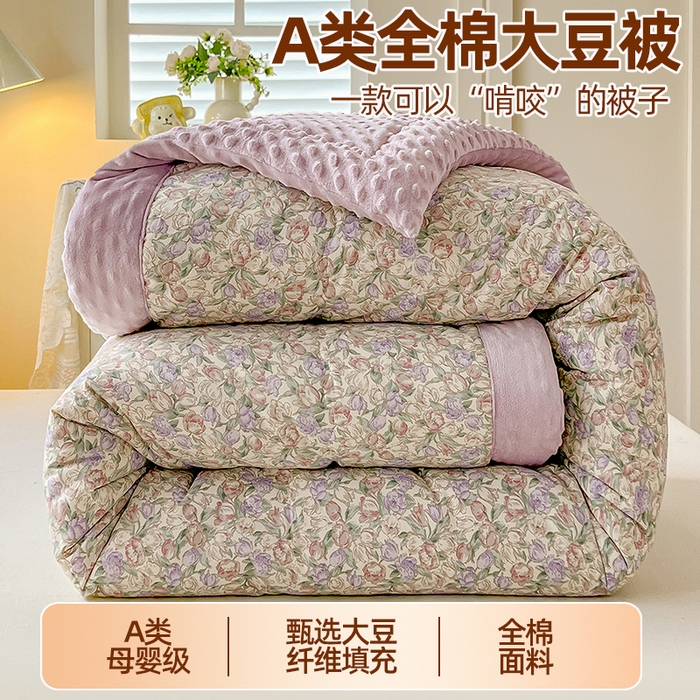 91家纺网 家纺一手货源 找家纺 （总）梦依依 （加微信送买家秀）2025新款40支全棉豆豆被大豆被夏被冬秋被子被芯-风格二