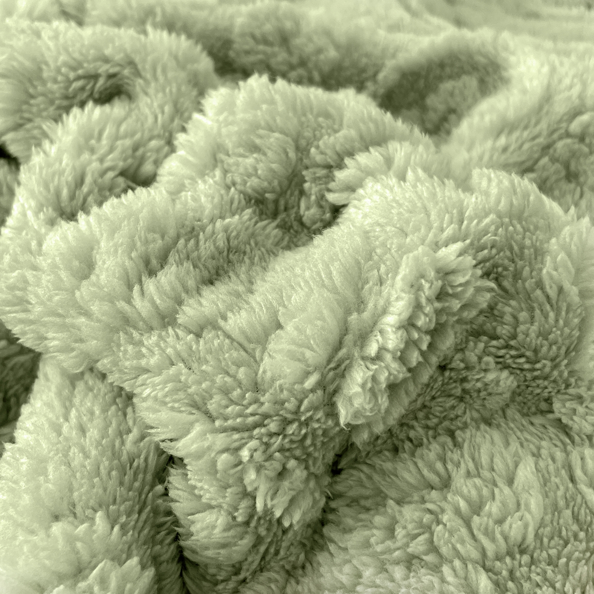 91家纺网 家纺一手货源 找家纺 乐家欣 2025新款A类塔芙绒舒棉绒床笠-花朵系列 花朵-桑绿