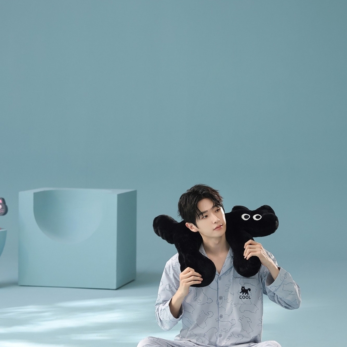 91家纺网 家纺一手货源 找家纺 （总）妍景家居生活馆 2025新款亲肤舒适新疆棉 线条狗狗套装蓝