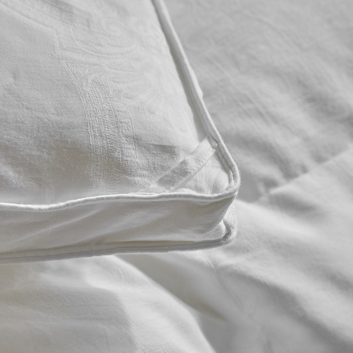 91家纺网 家纺一手货源 找家纺 暖羽屋羽绒馆 2025新款国标95白鹅绒被子 羽绒被芯60s大提花羽绒被 双人鹅绒被2米 婚庆被子 普希斯 白